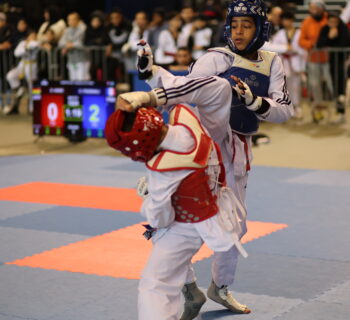 Taekwondo: Keumgang Open 2024 – ein Event mit Kultstatus